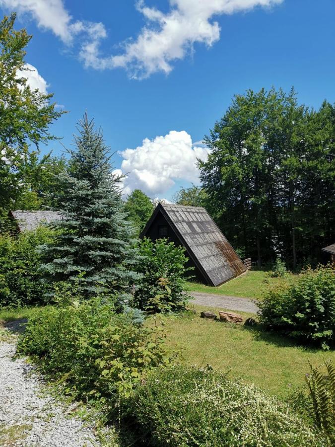 באד ארסולן Blockhaus Am Twistesee Mit 3 Schlafzimmern מראה חיצוני תמונה