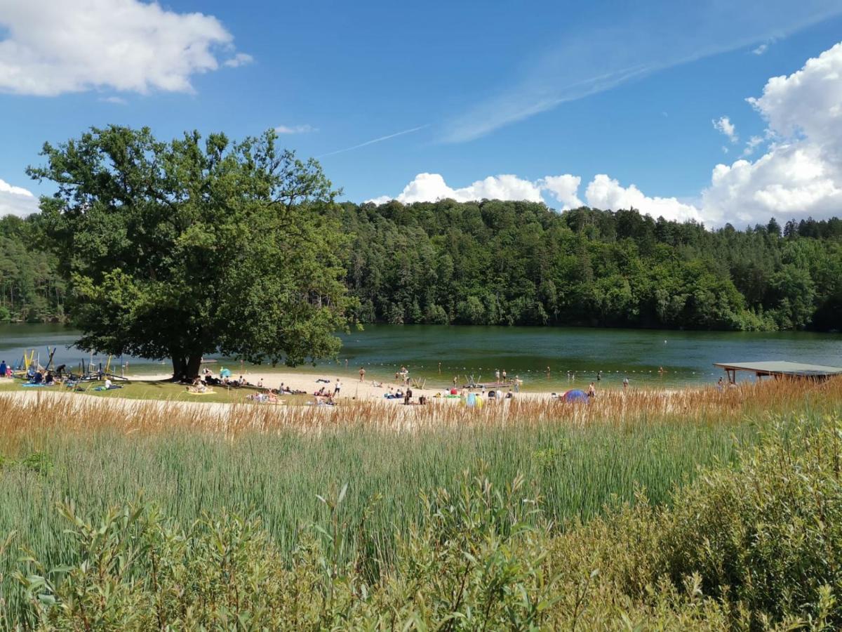 באד ארסולן Blockhaus Am Twistesee Mit 3 Schlafzimmern מראה חיצוני תמונה