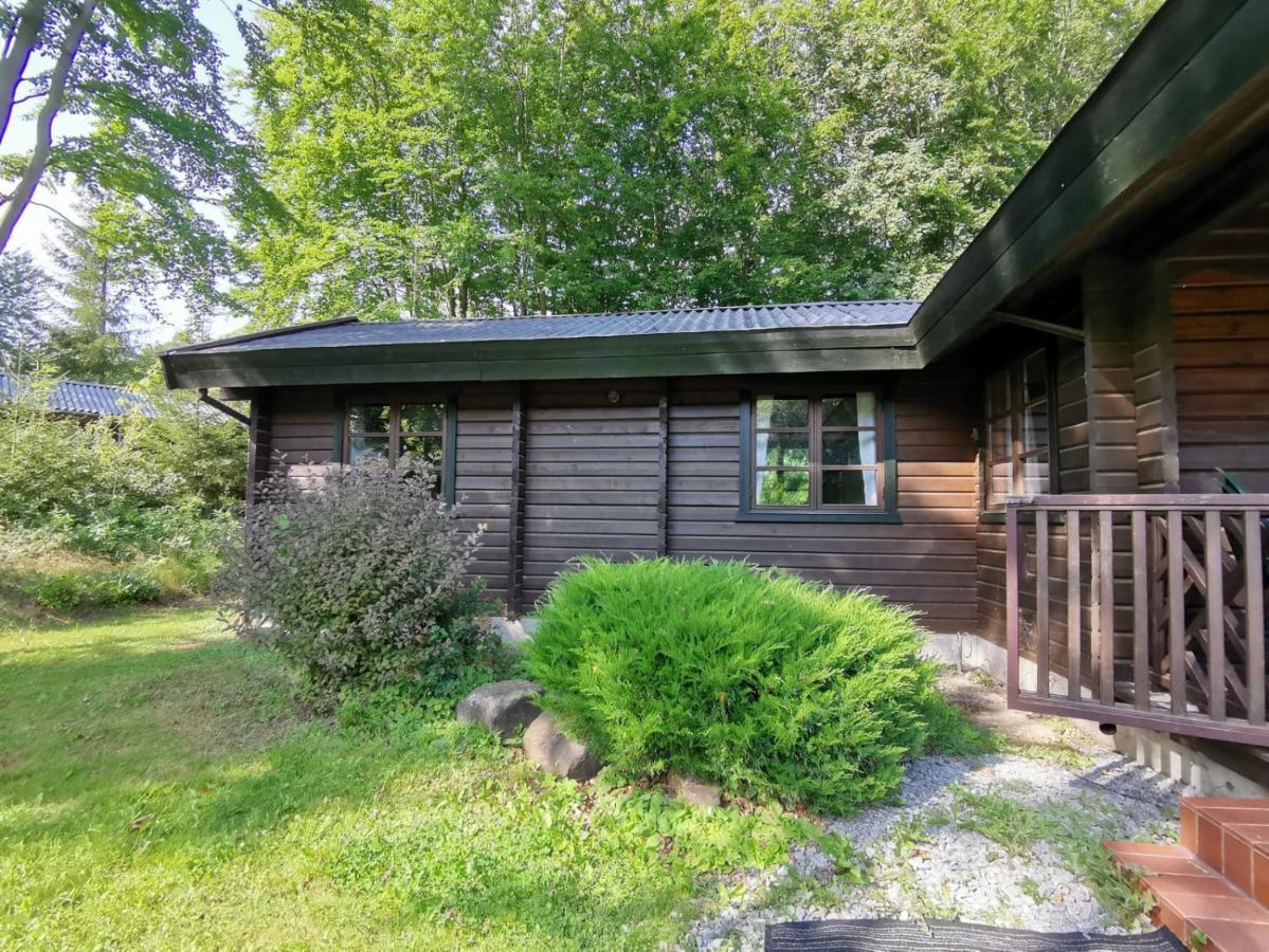 באד ארסולן Blockhaus Am Twistesee Mit 3 Schlafzimmern מראה חיצוני תמונה